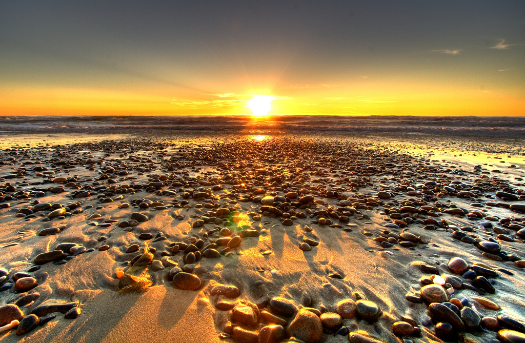 Torrey Pines State Natural Reserve